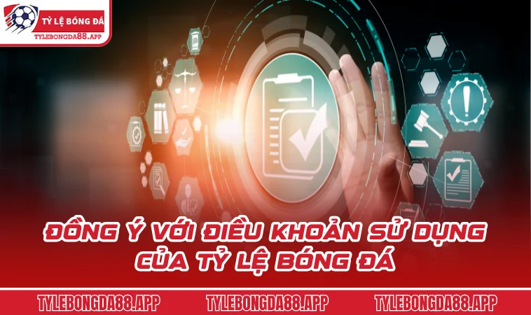 Đồng ý với điều khoản sử dụng của Tỷ Lệ Bóng Đá