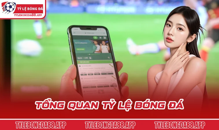 Tổng quan tỷ lệ bóng đá